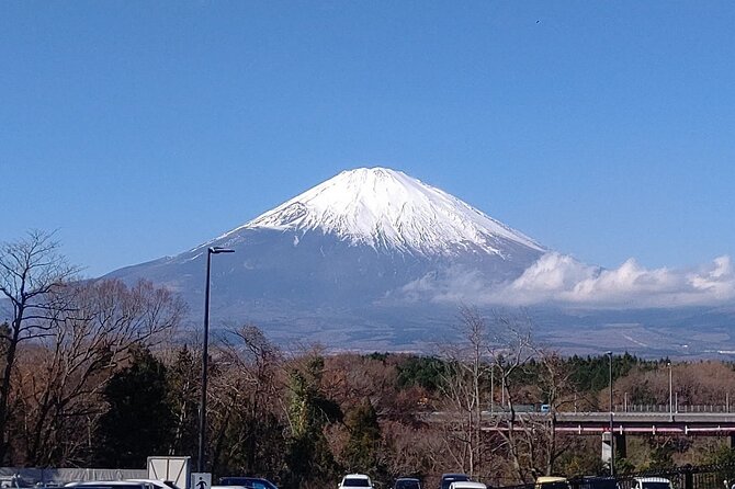 Mt. Fuji, Lake Kawaguchiko Private Tour With Pick up - Inclusions and Fees Explained