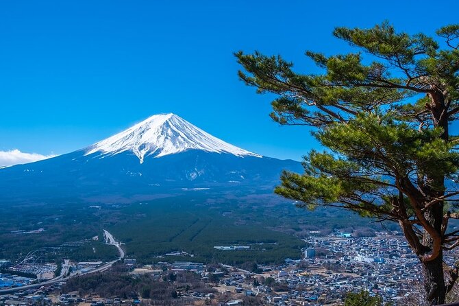 Mt. Fuji Private Tour by Car With Pick-Up From Tokyo - Accessible Tour Features