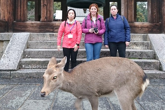 Nara Todaiji Lazy Bird Tour - Sake Brewery Visit Highlights