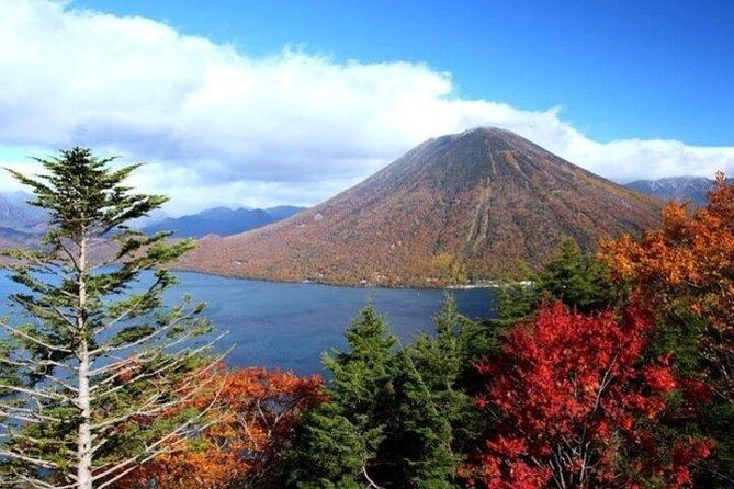 Nikko Full-Day Private Tour With Government-Licensed Guide - Tour Inclusions and Essentials