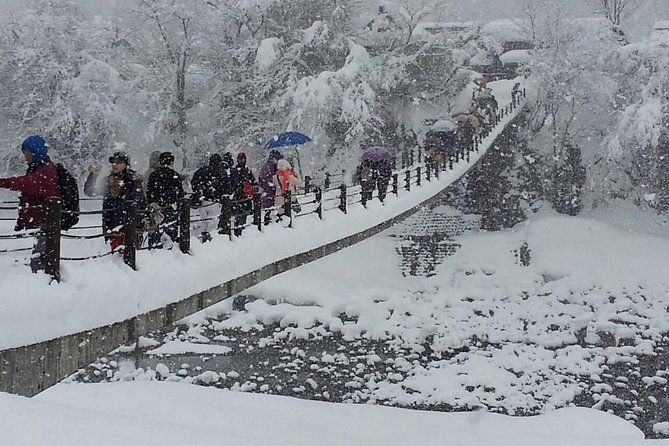 [One-Day Bus Tour Departing From Kanazawa Station] Shirakawa-Go and Gokayama - Two World Heritage Villages Enjoyable Bus Tour - Discovering Gokayama Village