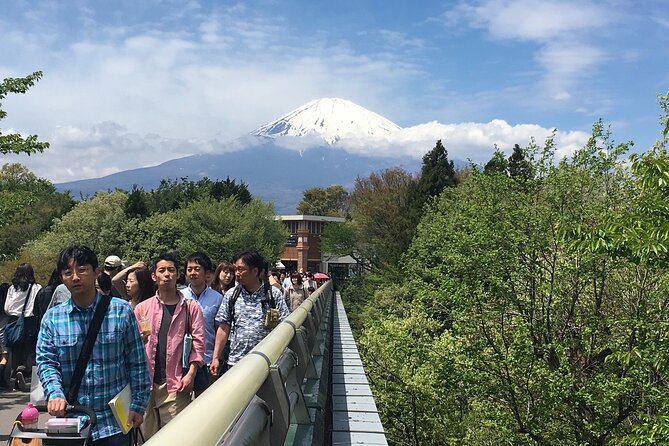 Private Car Mt Fuji and Gotemba Outlet in One Day From Tokyo - Inclusions and Accessibility Options