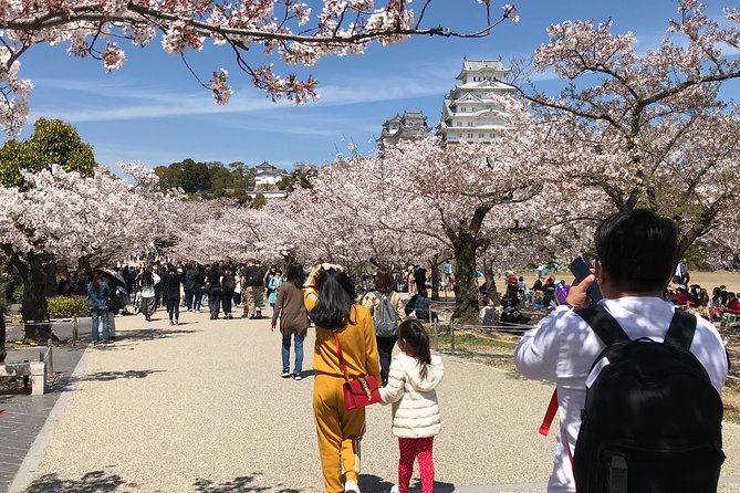 Private & Custom KOBE (HIMEJI CASTLE) Day Tour by Toyota COMMUTER (Max 13 Pax) - What to Expect Onboard