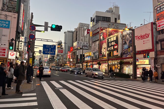 Private Half-Day Tour Colorful and Busy Street in Central Tokyo - Important Health and Safety