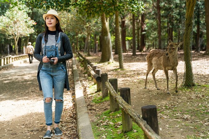 Private Journey in Nara's Historical Wonder - Discovering Japans Rich History