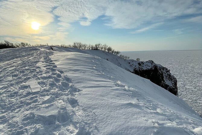 Private Snow Shoe Tour in Shiretoko National Park - Important Health and Safety