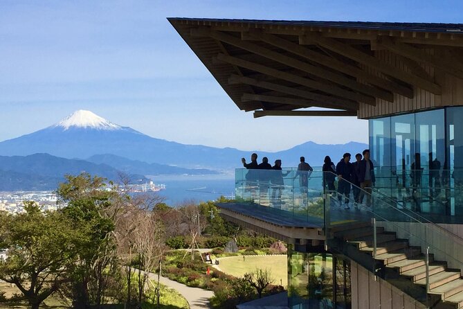 Small Group Japanese Green Tea Tasting in Shizuoka - What to Expect on Tour