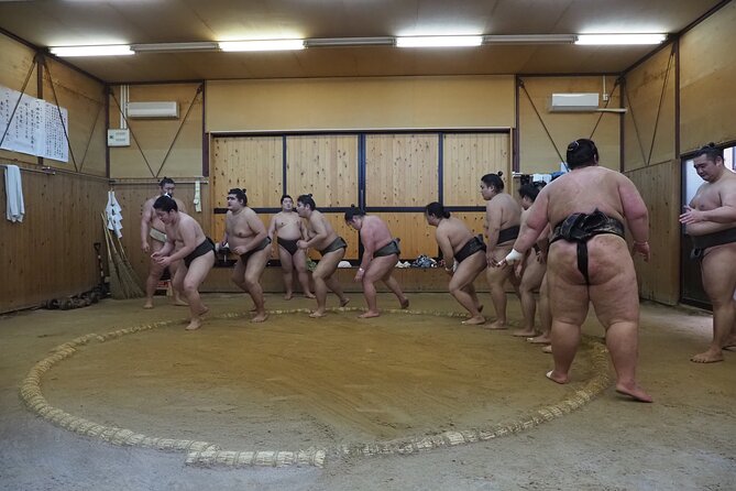 Sumo Morning Training Watch in Osaka - Expert Guide Insights Provided