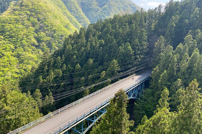 Tokyos Hidden Nature Cycling Tour - Okutama Historical Road Tour - What to Expect on Tour