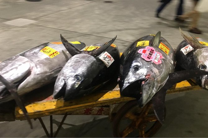 Tuna Auction and Market Tour at Activity Maison Kissako - What to Expect