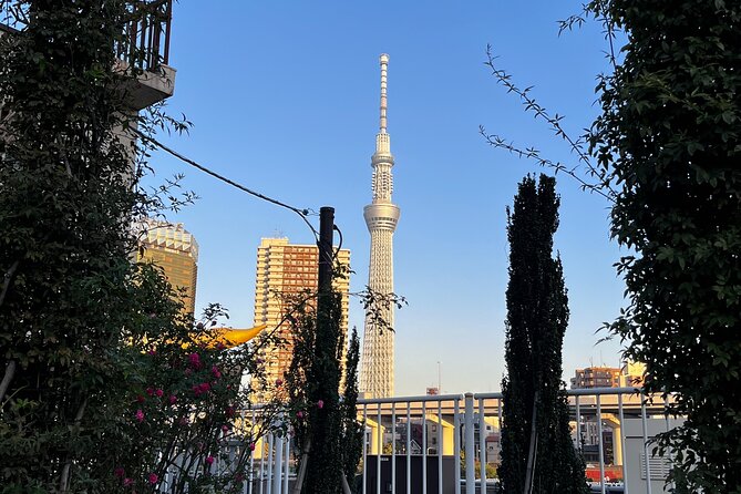 Walking Tour to Temple and Izakaya From the River - What to Expect on Tour