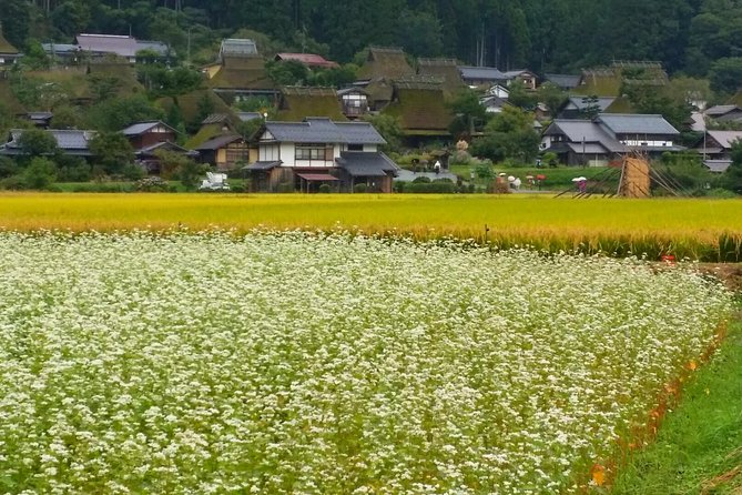 2 Days Kyoto Miyama Bike Tour Self Guided - Day 2: Exploring Rural Kyoto