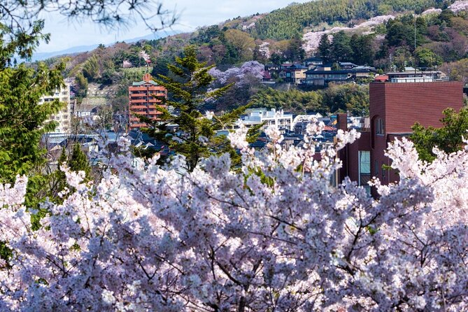 4 Hour Unique Kanazawa Cherry Blossom Sakura Private Experience - Booking and Cancellation Policy