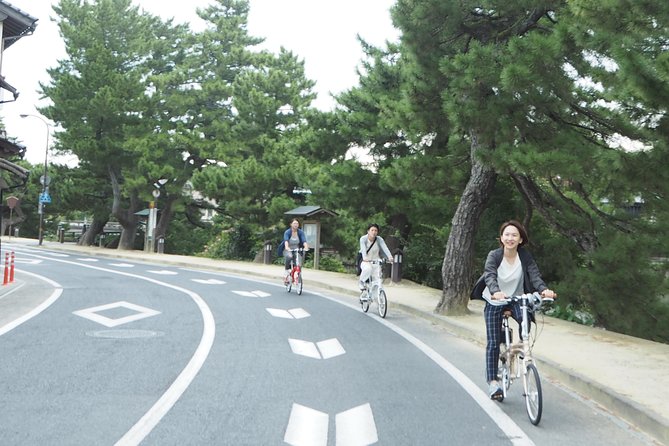 An E-Bike Cycling Tour of Matsue That Will Add to Your Enjoyment of the City - Cycling Through Matsues Landmarks