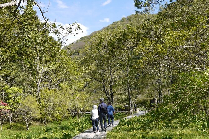 Easygoing Nature Walk in Hakone Tour - Tour Logistics and Details