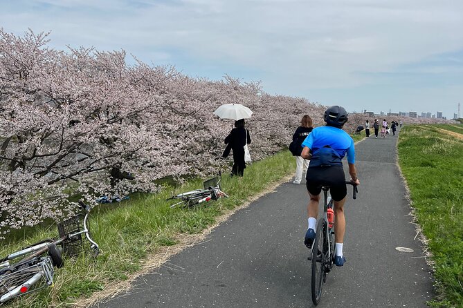 English/Italian Guided Cycling Tour in Tokyo(With a Rental Bike) - Whats Included in the Tour