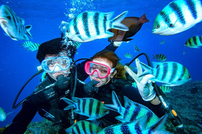 Experience Diving & Banana Boat by Boat - Booking and Cancellation Policies