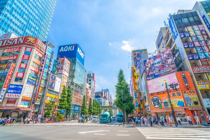 From History to Subculture: Akihabara & Ueno Must-See Tour! - What to Expect on the Tour