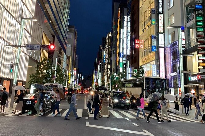 Full-day Immersive Private Tokyo Tour by Premium Car - Tour Inclusions and Extras