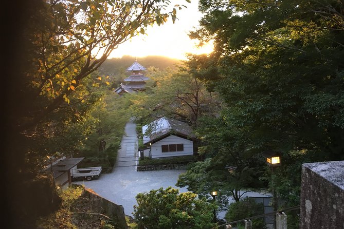 Full-Day Private Guided Tour in a Japanese Mountain: Yoshino, Nara - Whats Included in the Tour