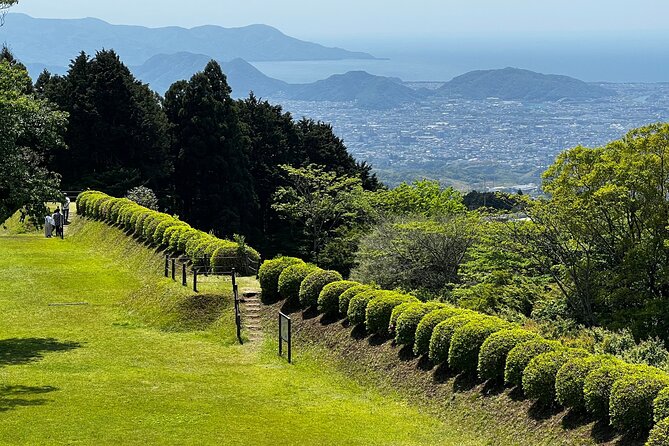 Hike Japan Heritage Hakone Hachiri With Certified Mountain Guide - Prepare for Your Adventure