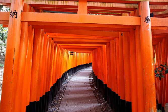 Kyoto Day Tour Tenryu-ji Temple Arashiyama Grove and Kinkaku-ji - Important Tour Details