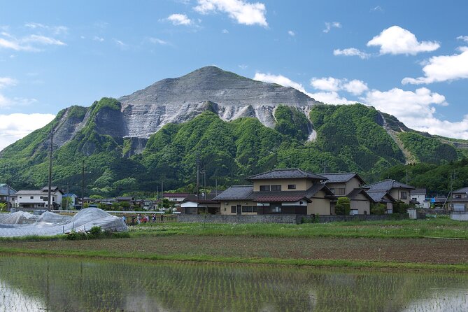 Mikoshi, a Portable Shrine Into the River! Chichibu Kawase Fest. - The Mikoshi Experience Unfolds