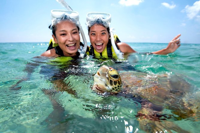 Miyakojima / Snorkel Tour to Swim With Sea Turtles - Reviews From Past Travelers