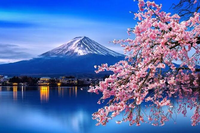 Mount Fuji and Hakone Private Tour With English Speaking Driver - Cancellation and Refund Policy