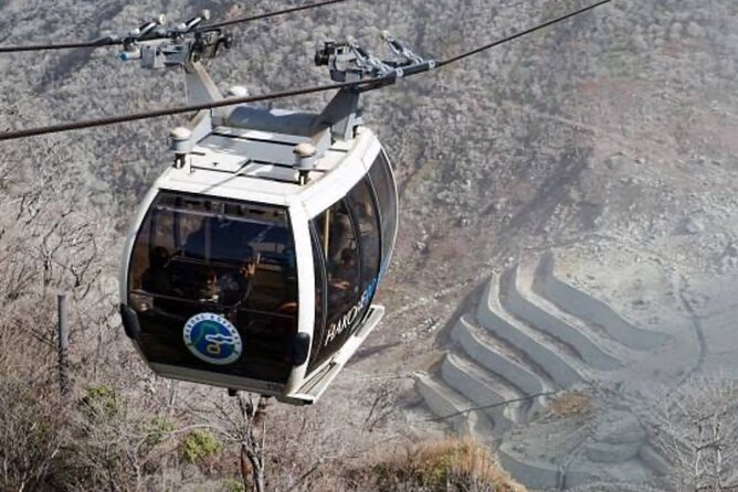 MT Fuji and Hakone Private Group Tour (Upto 9 Persons) by Hiace - Scenic Views of Mt Fuji