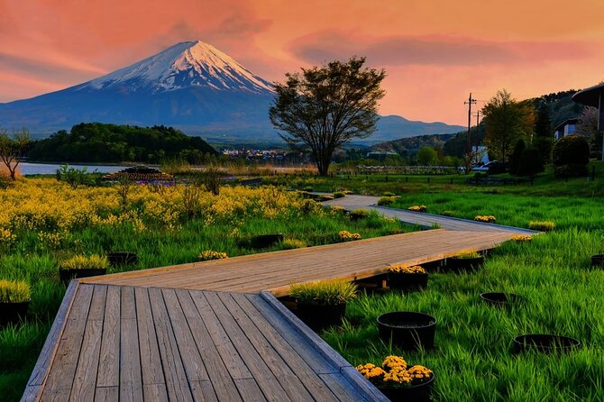 Mt. Fuji Five Lakes Area Private Tour With Licensed Guide(Kawaguchiko Area Dep) - Reviews and Testimonials