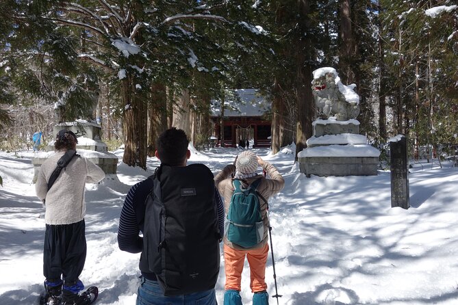 Nagano Snowshoe Hiking Tour - Traveler Reviews and Ratings