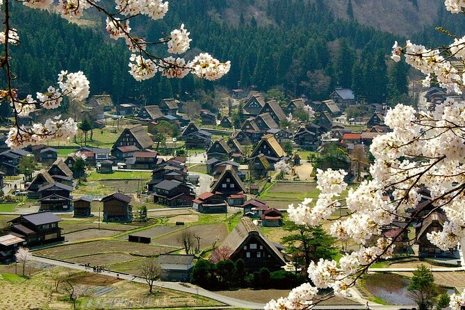 Nagoya to Takayama & Shirakawa World Heritage English Guide - Exploring Shirakawa Village