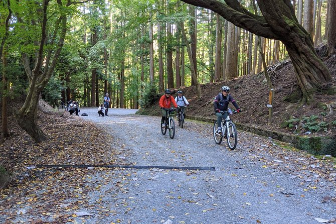 Nara - Heart of Nature Bike Tour - Health and Safety Considerations