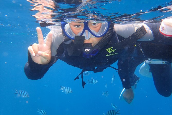 Popular Blue Cave Snorkel! [Okinawa Prefecture] Feeding & Photo Image Free! English, Chinese Guide Available! - Important Restrictions and Cancellations