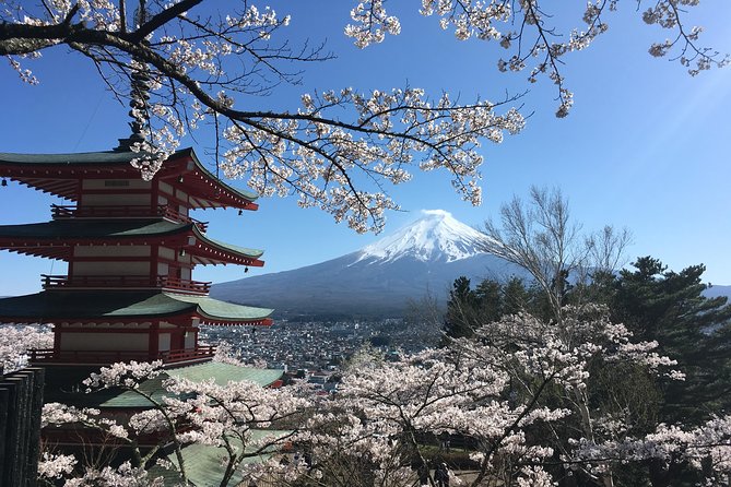 Private Car Mt Fuji and Gotemba Outlet in One Day From Tokyo - Dietary Options and Special Requests