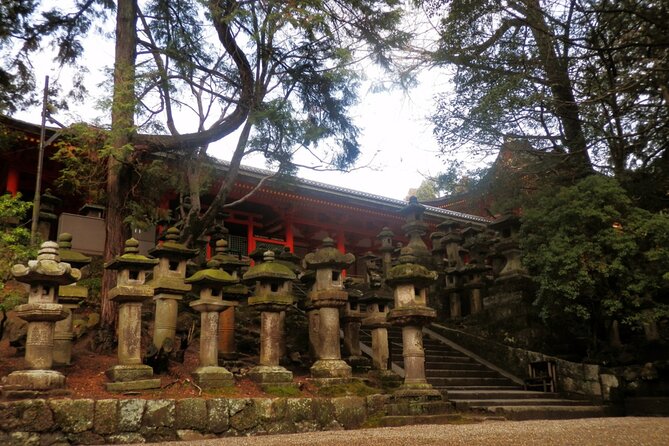 Private Journey in Nara's Historical Wonder - Navigating Osaka to Nara