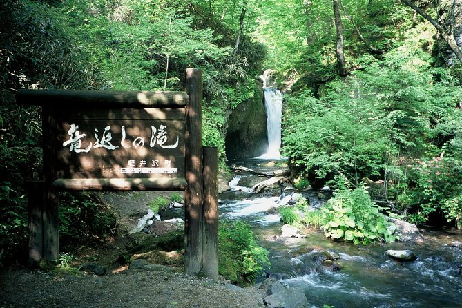 Relax and Refresh in Karuizawa Forest! Shinanoji Down Trekking Around Two People - Booking and Cancellation Policies