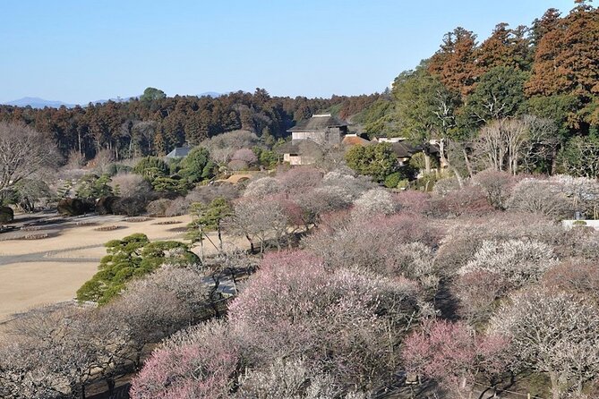 Samurai Private Tour With Umeshu Tasting in Mito - Tour Inclusions and Schedule