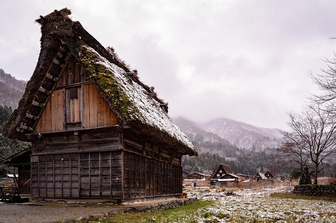 Takayama Custom Half Day Tour - Pricing and Fee Structure