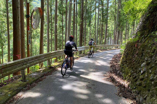 Tokyos Hidden Nature Cycling Tour - Okutama Historical Road Tour - Essential Tour Details Revealed