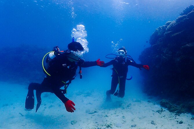 2-Day Private Deluxe Certification Course for Scuba Diving - Pricing and Packages Available