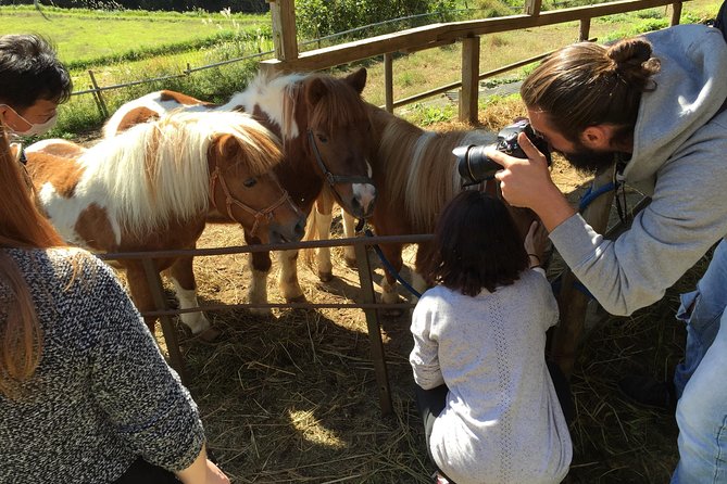 Aso Cycling and Farming Private Tour - Accessibility and Health Notes