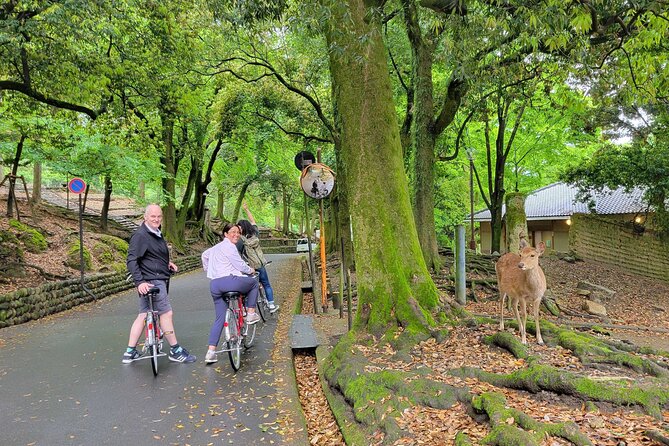 Explore Nara the Birthplace of the Country With E-Bike - E-Bike Safety and Precautions