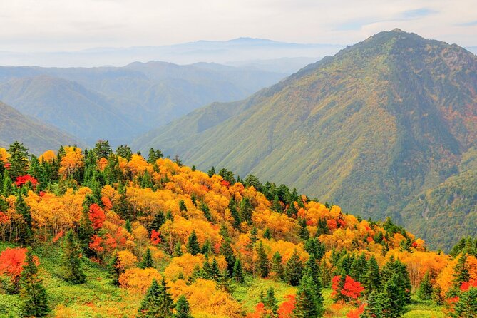 From Takayama: Alpine Splendor - Shinhotaka Ropeway and Kamikochi - A Day in the Mountains