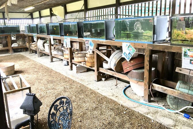 Full-Day Goldfish Unique Experience in Yamato-Koriyama, Nara - Accessibility and Preparation