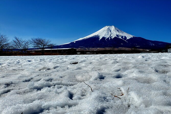 Full Day Private Guided Tour Mt. Fuji and Hakone - Cancellation and Refund Policy