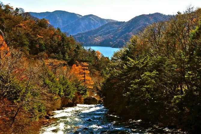 Full Day Private Tour & Sightseeing to Nikko(Eng Speaking Driver) - Reviews and Testimonials