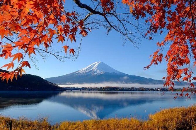 Full Day Private Tour With English Speaking Driver in Mount Fuji - What to Expect on Tour