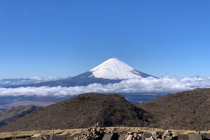 Hakone Private One Day Tour From Tokyo: Mt Fuji, Lake Ashi, Hakone National Park - Hakones Peak Season Tips